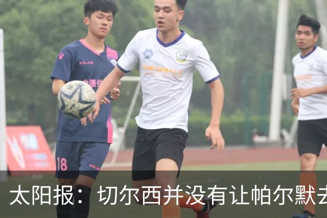 太阳报：切尔西并没有让帕尔默去游说罗杰斯，但两人感情很好