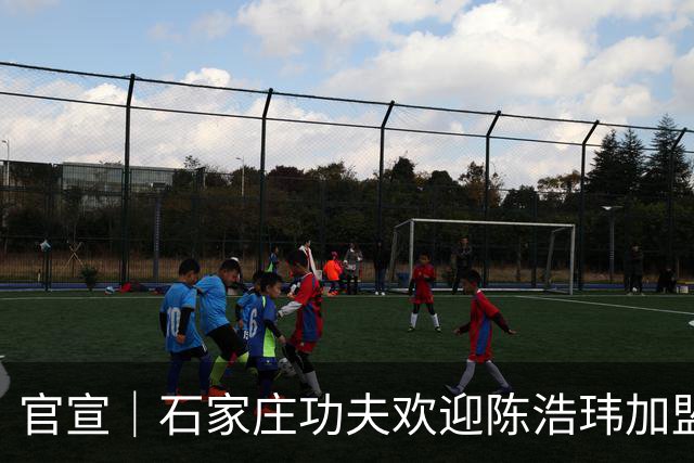 官宣｜石家庄功夫欢迎陈浩玮加盟