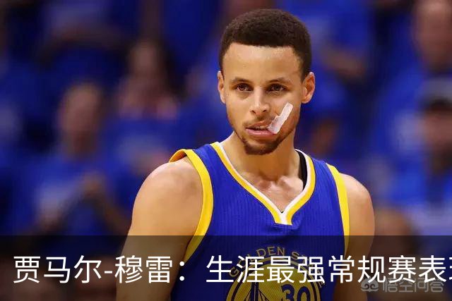 贾马尔-穆雷：生涯最强常规赛表现（球员赛季分析）常规赛篇